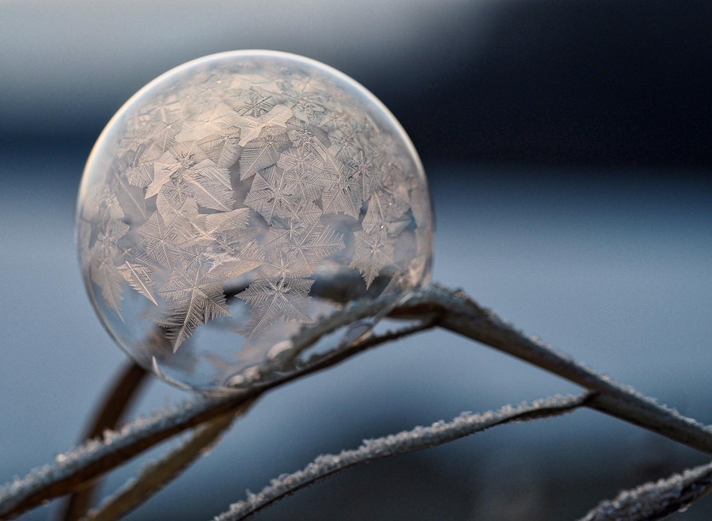 Clear Ball with Snow Flakes
